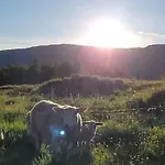 Skogan * Leirfjord