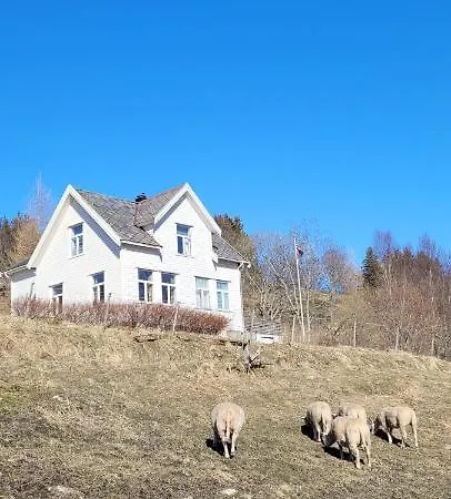 Skogan Leirfjord